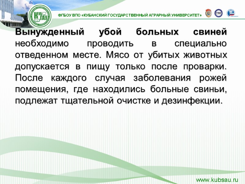 Вынужденный убой больных свиней необходимо проводить в специально отведенном месте. Мясо от убитых животных